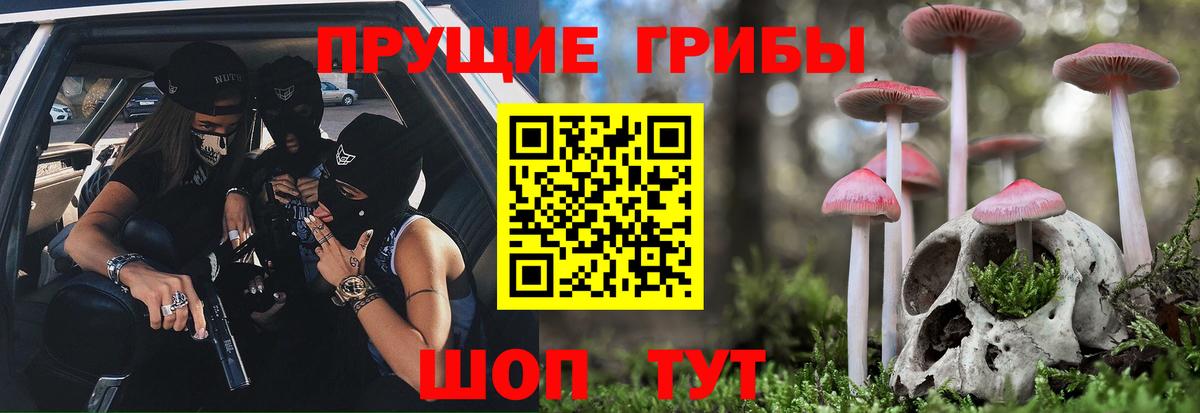 Псилоцибиновые грибы мухоморы Нерюнгри