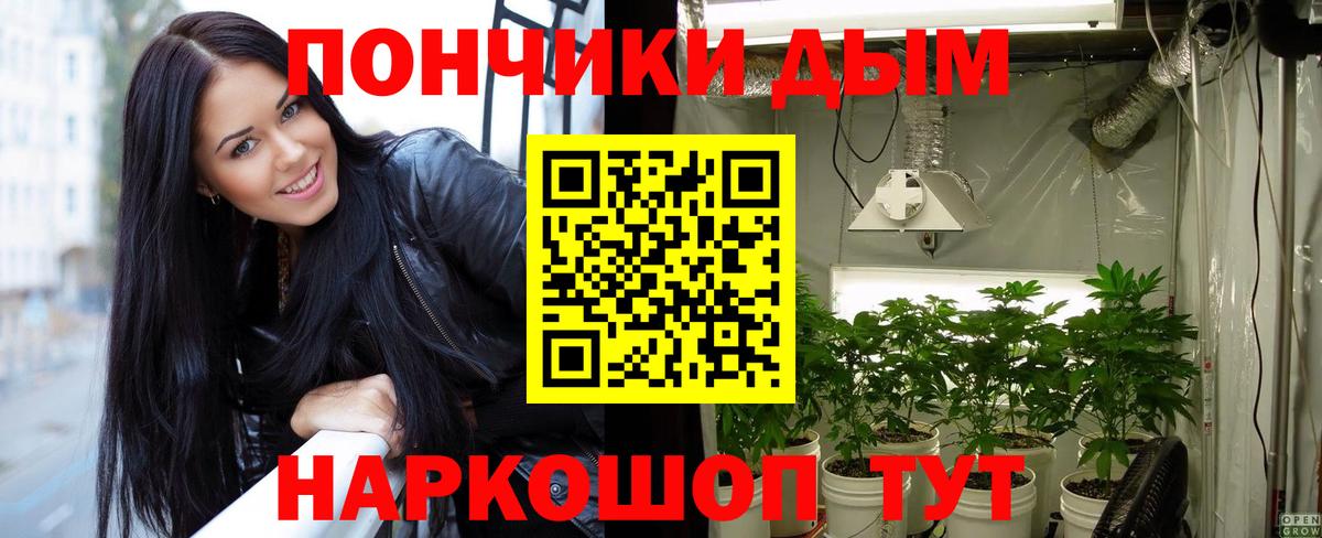 Бошки марихуана MAZAR Нерюнгри
